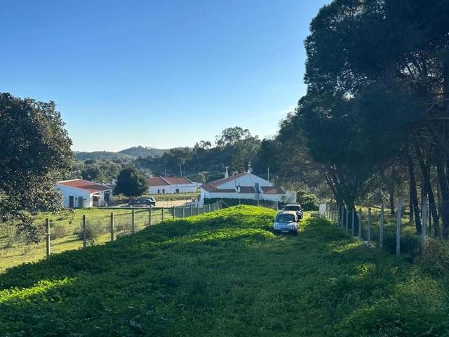 Terreno com 2500m2 sito em Mexilhoeira Grande
