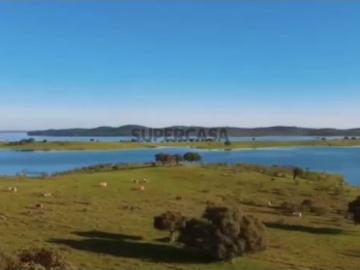 Terreno com 255.000 m2, em Alqueva, Reguengos de Monsaraz