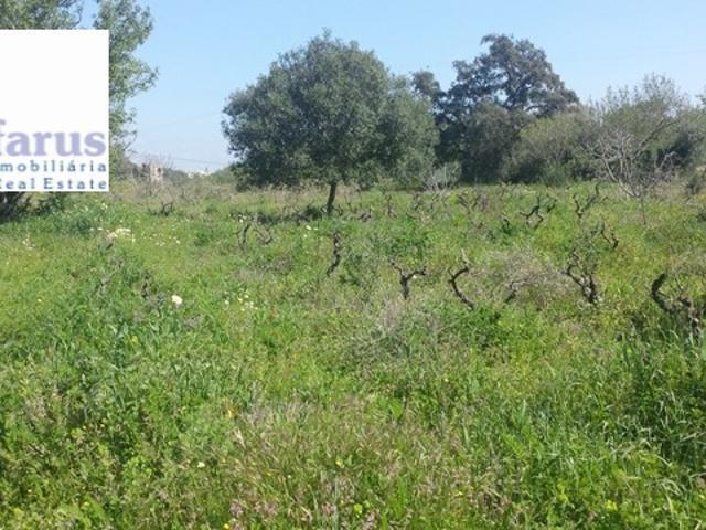 Terreno com 25.000m2 e artigo urbano de 800m2