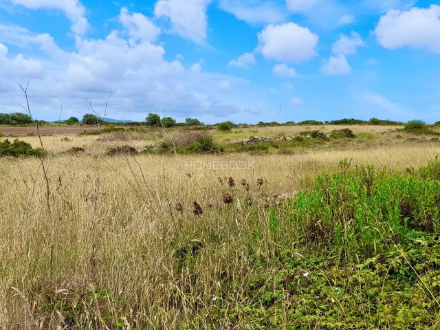 Terreno com 2680m2 para construção na Terrugem