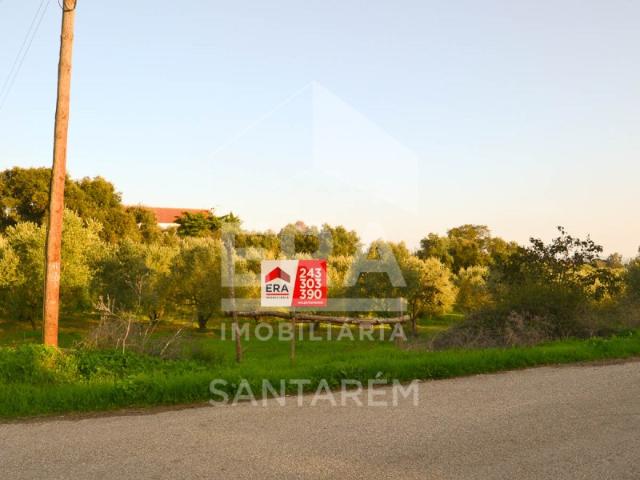 Terreno com 26.720m2 com Vista para o Rio Tejo