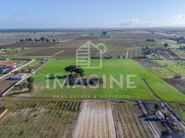 Terreno com 26.000 m² em Palmela Localização Privilegiada Viabilidade de construção até 660 m²