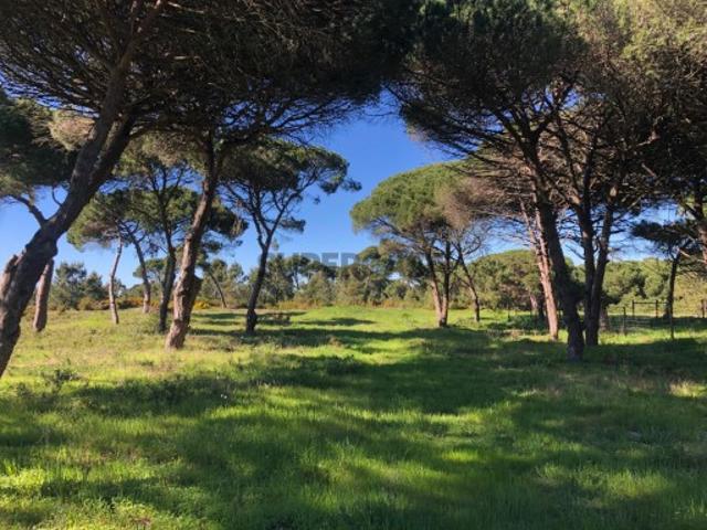 Terreno com 2750m2 localizado nos fetais Meco perto da praia