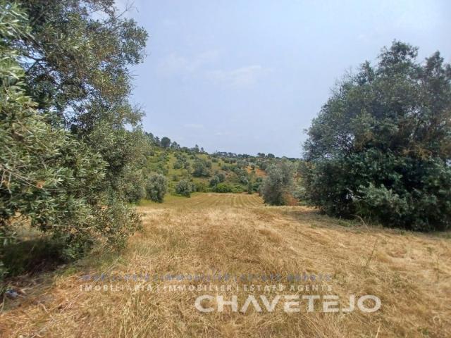 Terreno com 28.000 m2 a cerca de 8 km de Tomar