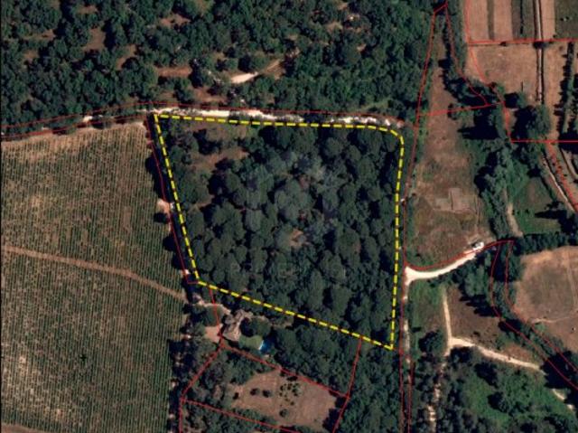 Terreno com 28 391 m2, situado nos Canais, Azeitão, entre o Parque Natural da Arrábida e Sesimbra