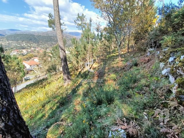 Terreno com 2977m2 Zona de Construção Grade Arcos de Valdevez
