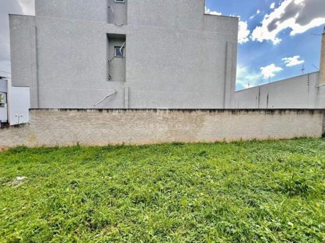 Terreno com 299 m², à venda no bairro Campo Compri