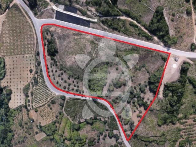 Terreno com 2 hectares em Coimbra