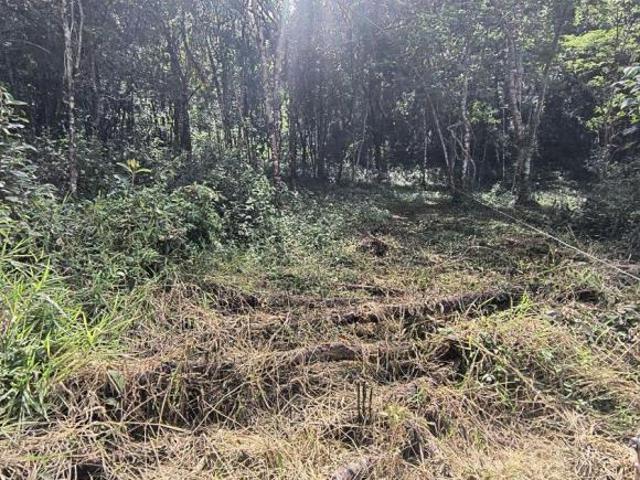 Terreno com 2 hectares perto da cachoeira da Lua cod 14