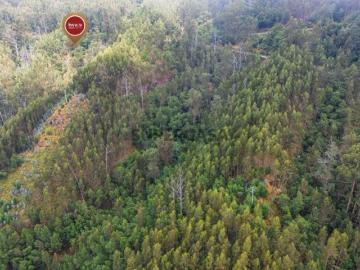 Terreno com 2.070 m2 no Monte