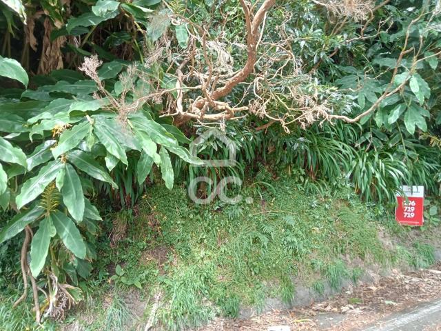 Terreno com 2.090,00 m2 Santo António Nordestinho Nordeste