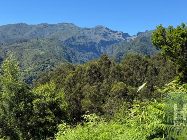 Terreno com 2.100 m² para construção em São Jorge