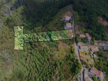 Terreno com 2.200m2 no Monte