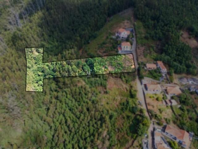 Terreno com 2.200m2 no Monte