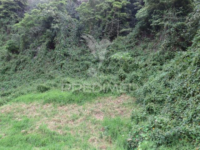 TERRENO COM 2.387M2 NO ESTREITO DE CÂMARA DE LOBOS