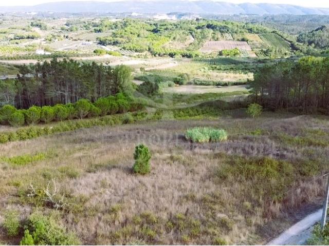 TERRENO COM 2.500 m² E POTENCIAL PARA CONDOMÍNIO EXCLUSIVO | MONTES, ALCOBAÇA