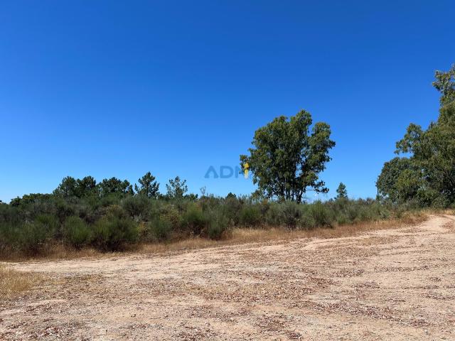 Terreno com 2,6 ha com fontes de água