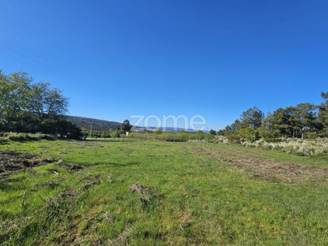 Terreno com 2.800 m² – Caldeirinhas, Levandeira, Fiolhoso Murça