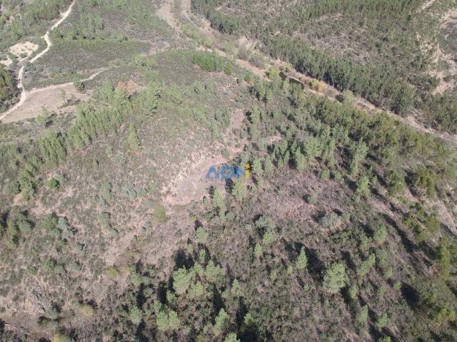 Terreno com 33.200m2 para venda