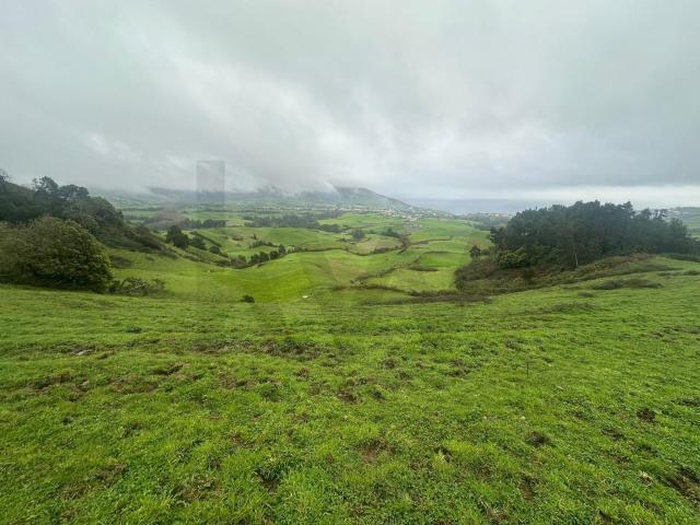 Terreno com 33.345m2 em Lomba do Pomar