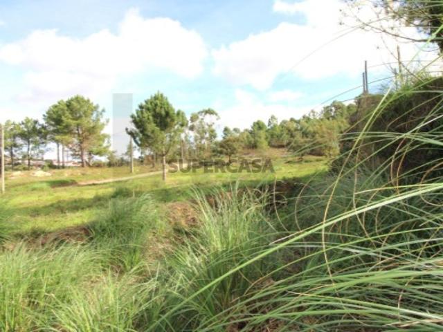 Terreno com 3000m2 URBANO