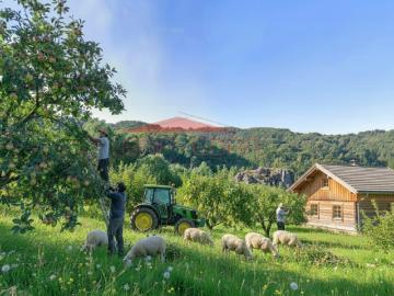 Terreno Rústico com 3 Hectares no Coração do Douro Cinfães Fornelos