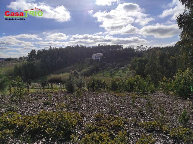 Terreno com 3239 m2 em Sta Eufémia