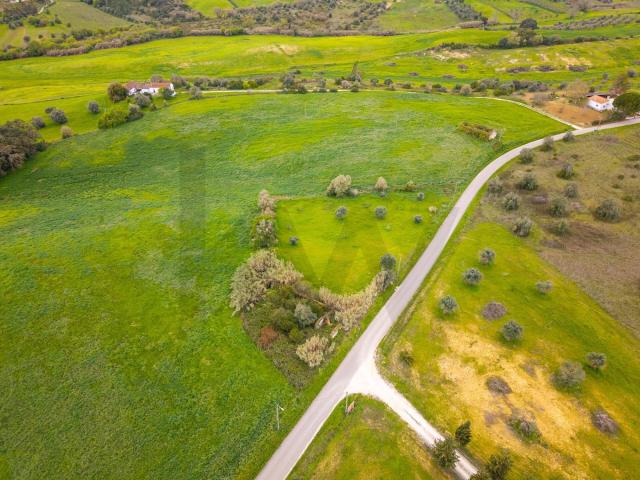 Terreno com 3240 m2, com Ruína, oportunidade única no Ribatejo