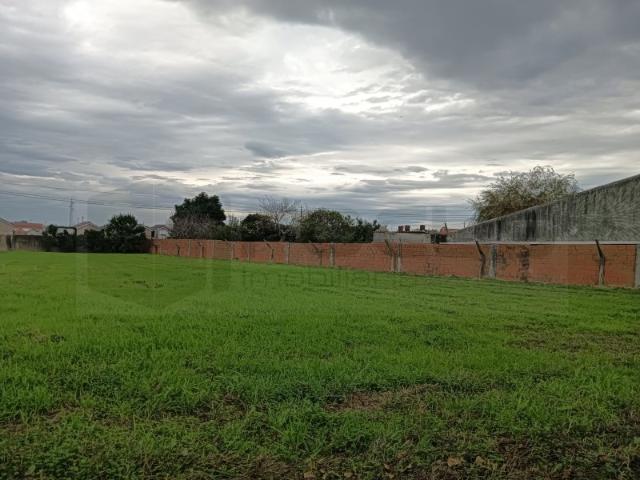 Terreno com 32m de frente Estarreja Centro