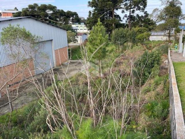 Terreno com 359,82m² para vender por R$ 340.000,00