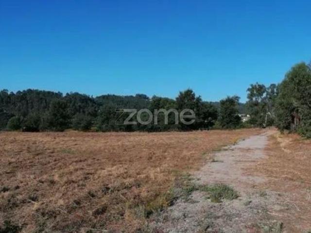 Terreno com 35.000m² – Oportunidade Única em Amarante
