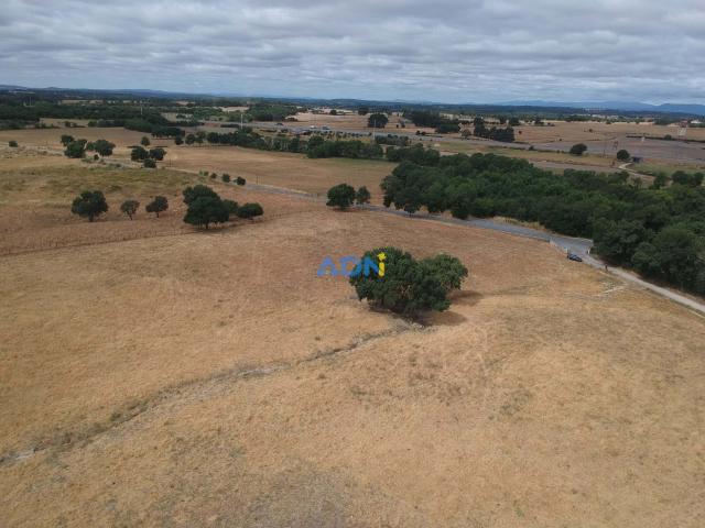 Terreno com 36 ha para venda Lardosa