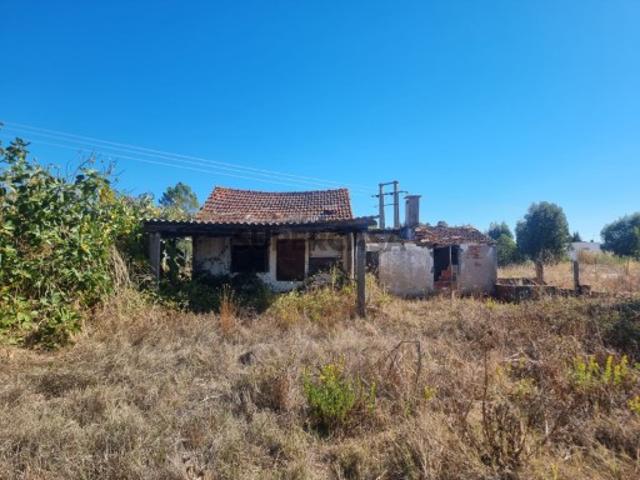 Terreno com 3980 m2 com ruina no Entroncamento