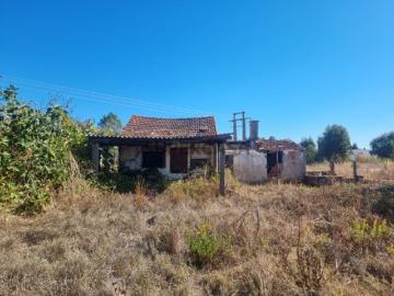 Terreno com 3980 m2 com ruina no Entroncamento