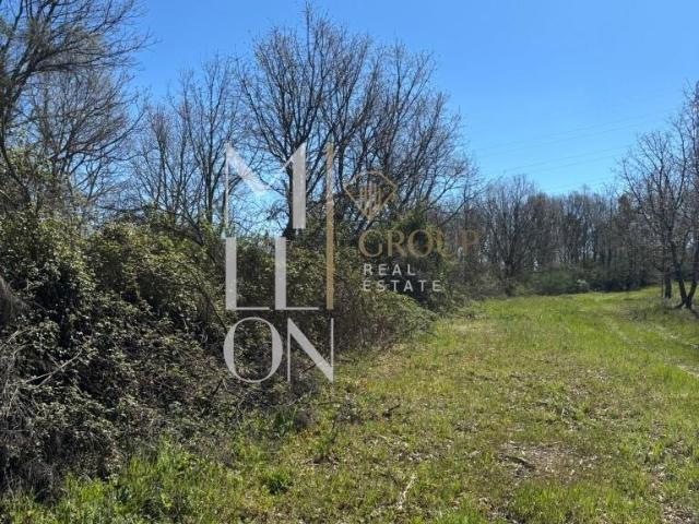 Terreno com 3 hectares às portas da cidade da Guarda