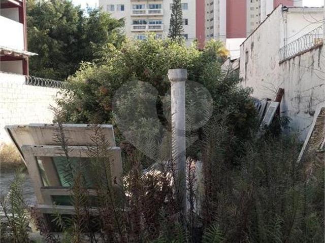 Terreno com 3 quartos à venda em Vila clementino SP