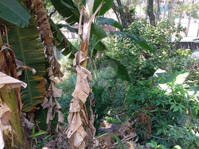 Terreno com 3 quartos à venda em Itaquera SP