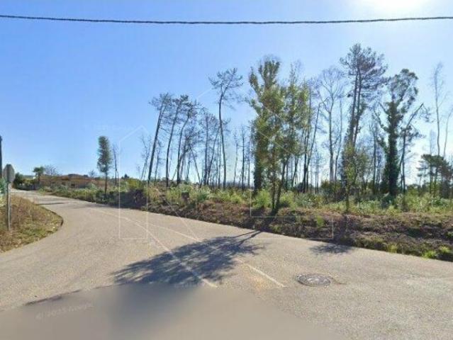 Terreno com 3.000 m² Fermentões Valongo do Vouga