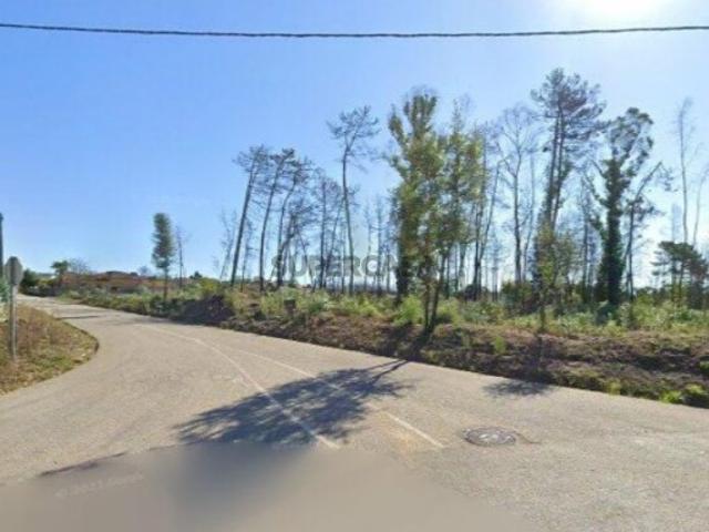 Terreno com 3.000 m² Fermentões Valongo do Vouga