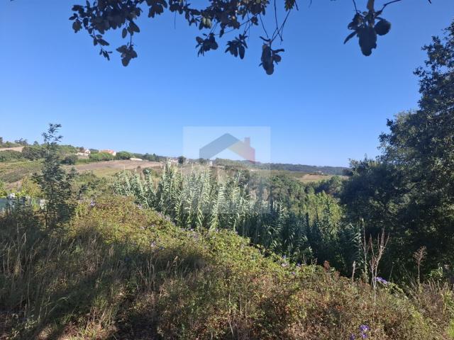 Terreno com 3.152 m² e Projeto Aprovado para Moradia