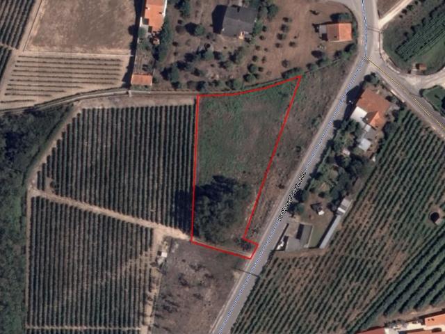 Terreno com 3.113 m² em Ourentã – Cantanhede