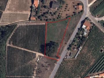 Terreno com 3.113 m² em Ourentã – Cantanhede
