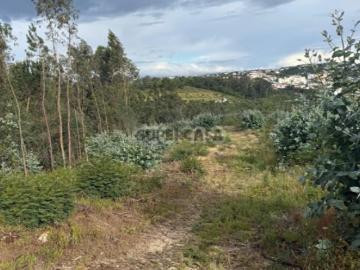 Terreno com 3.358 m² em São Martinho do Bispo