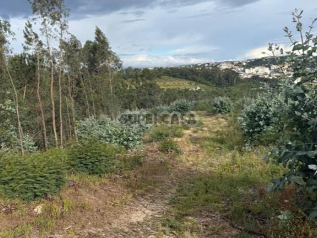 Terreno com 3.358 m² em São Martinho do Bispo