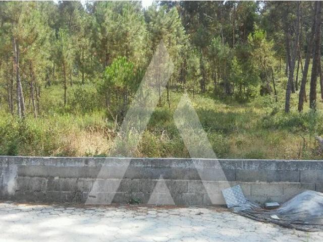 Terreno com 3.366 m2 para construção de duas moradias