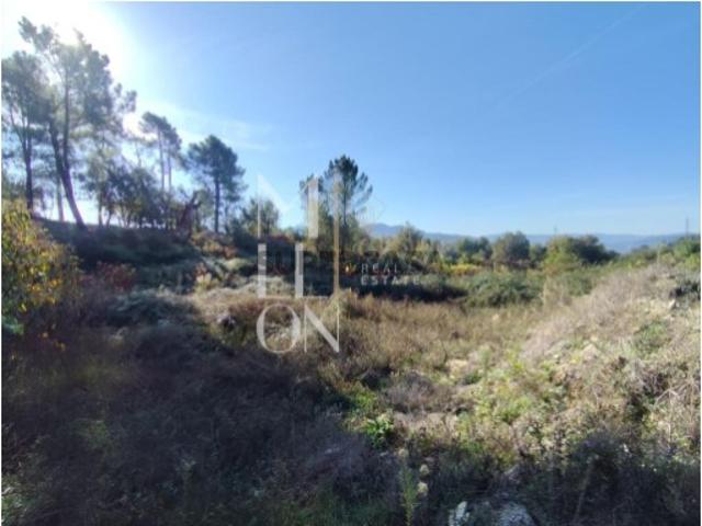 Terreno com 3.699M2, viabilidade de construção e venda em Arcos de Valdevez