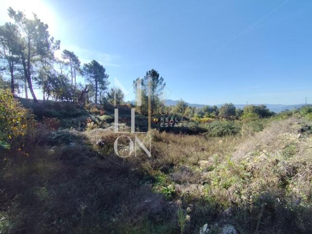 Terreno com 3.699M2, viabilidade de construção e venda em Arcos de Valdevez