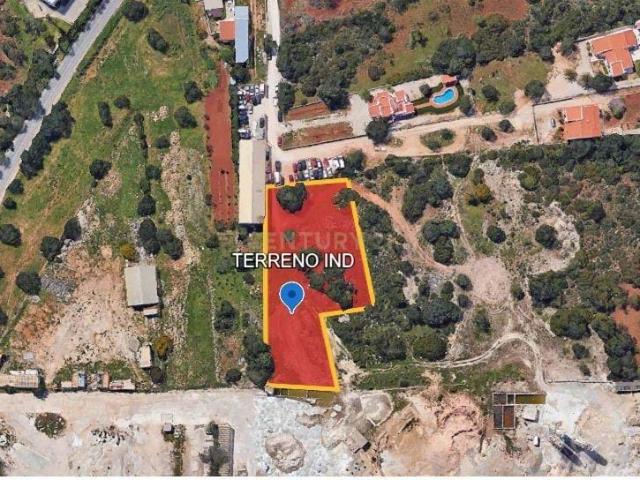Terreno com 3.600 m² em Boliqueime – Potencial Industrial/Logístico junto à EN 270