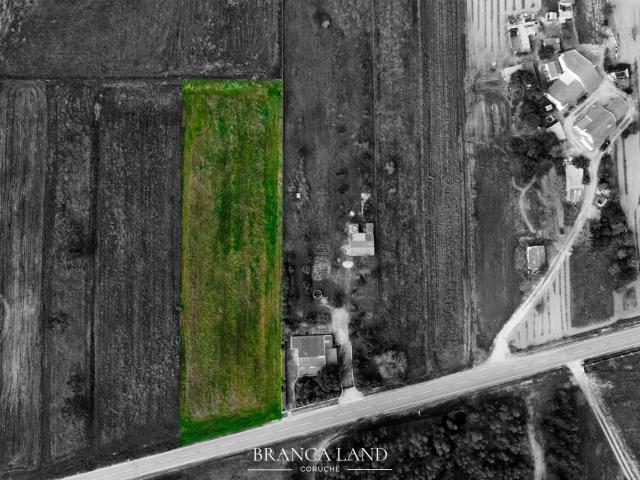 Terreno com 3.850 m², situado na Branca, concelho de Coruche