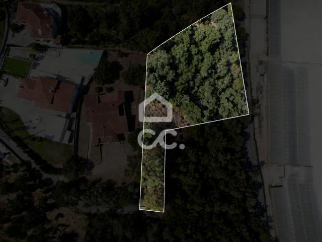 Terreno com 3.800 m² e vistas privilegiadas sobre o rio — Copeira